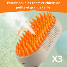 Charger l'image dans la galerie, Brosse Anti Poil à Spray eau - La Patte Canine