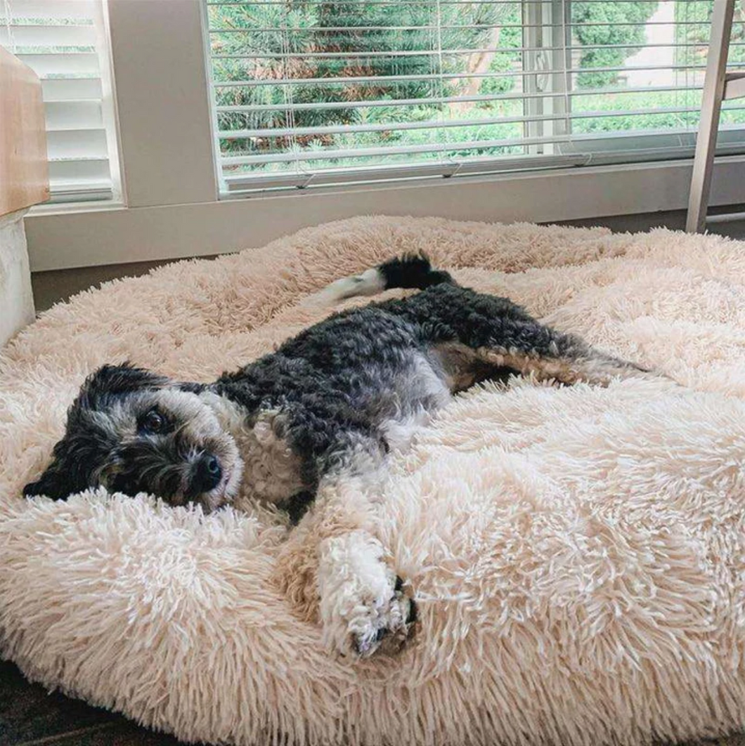 Lit apaisant comfy - La Patte Canine®