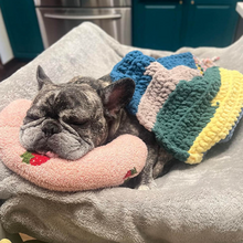 Charger l'image dans la galerie, Coussin Apaisant pour chien et chat - La Patte Canine