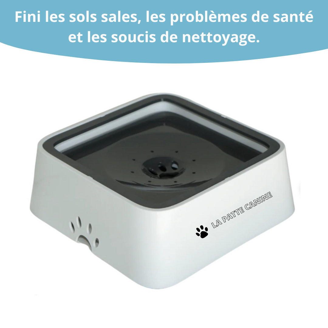 Gamelle Anti Splash La Patte Canine La Patte Canine Pour Le 