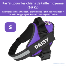 Charger l'image dans la galerie, Harnais anti-traction personnalisable