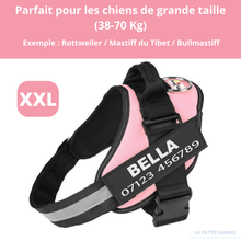 Charger l'image dans la galerie, Harnais anti-traction personnalisable