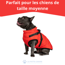 Charger l'image dans la galerie, Veste pour Chiens - La Patte Canine