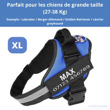 Charger l&#39;image dans la galerie, Harnais anti-traction personnalisable
